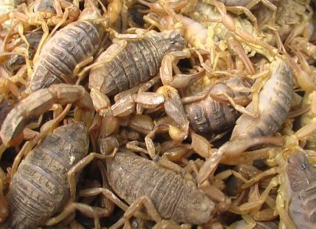 合肥小區(qū)開(kāi)荒保潔要注意哪些事項(xiàng)呢?